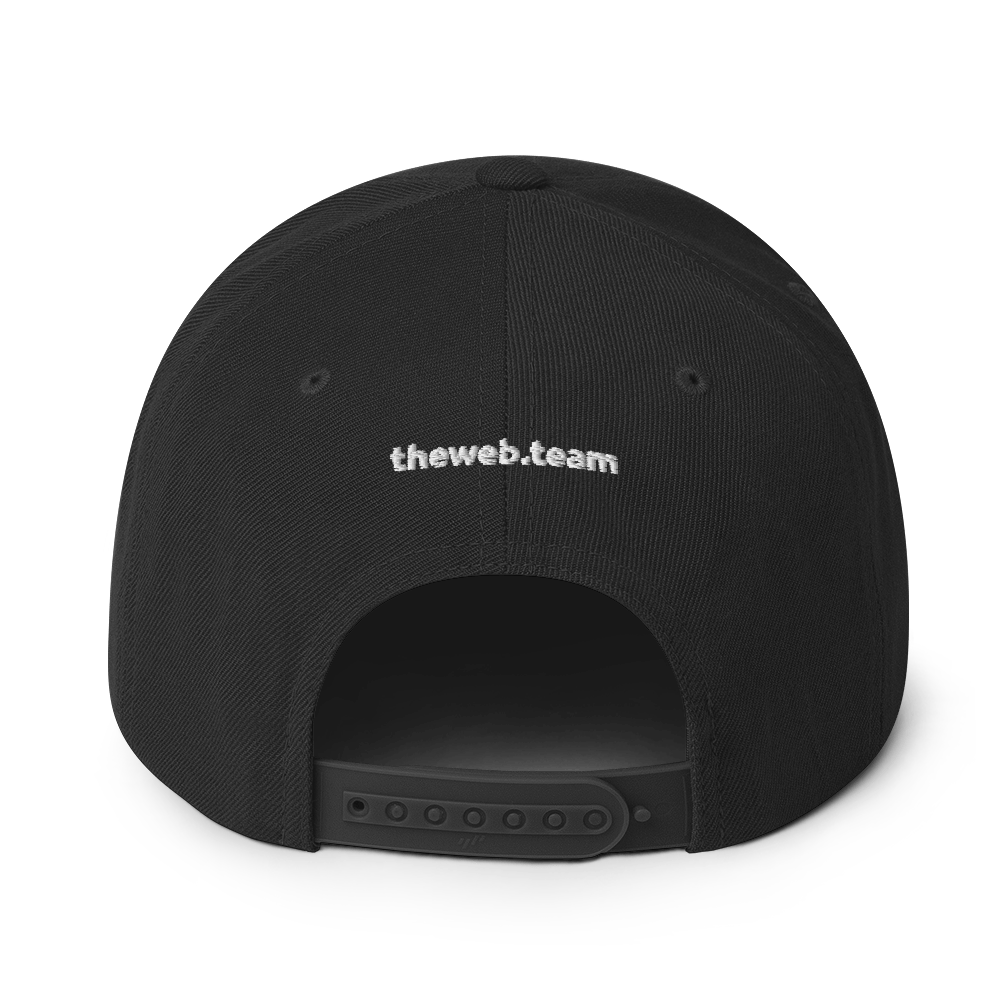 The Web Team - Snapback Hat