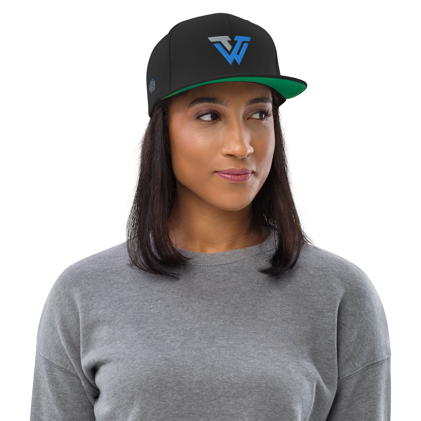 The Web Team - Snapback Hat