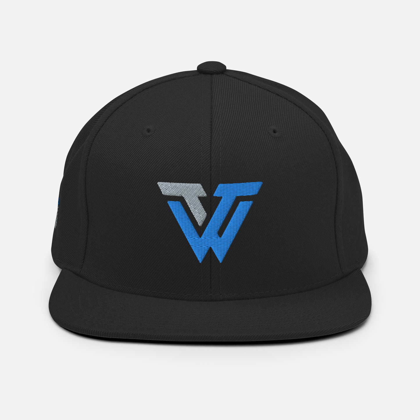 The Web Team - Snapback Hat